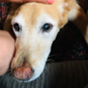 Meet your Posher, Meggan